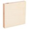 6 Pack Unfinished Wood Canvas Boards for Painting, 6x6 Square Wooden Panels for Crafts
